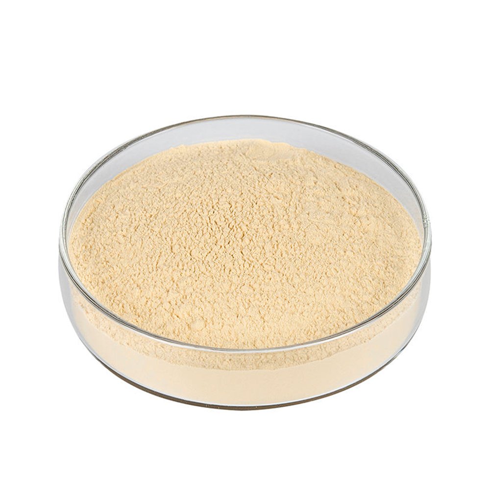 Off‑white Soy Protein Isolate Powder fine powder detail
