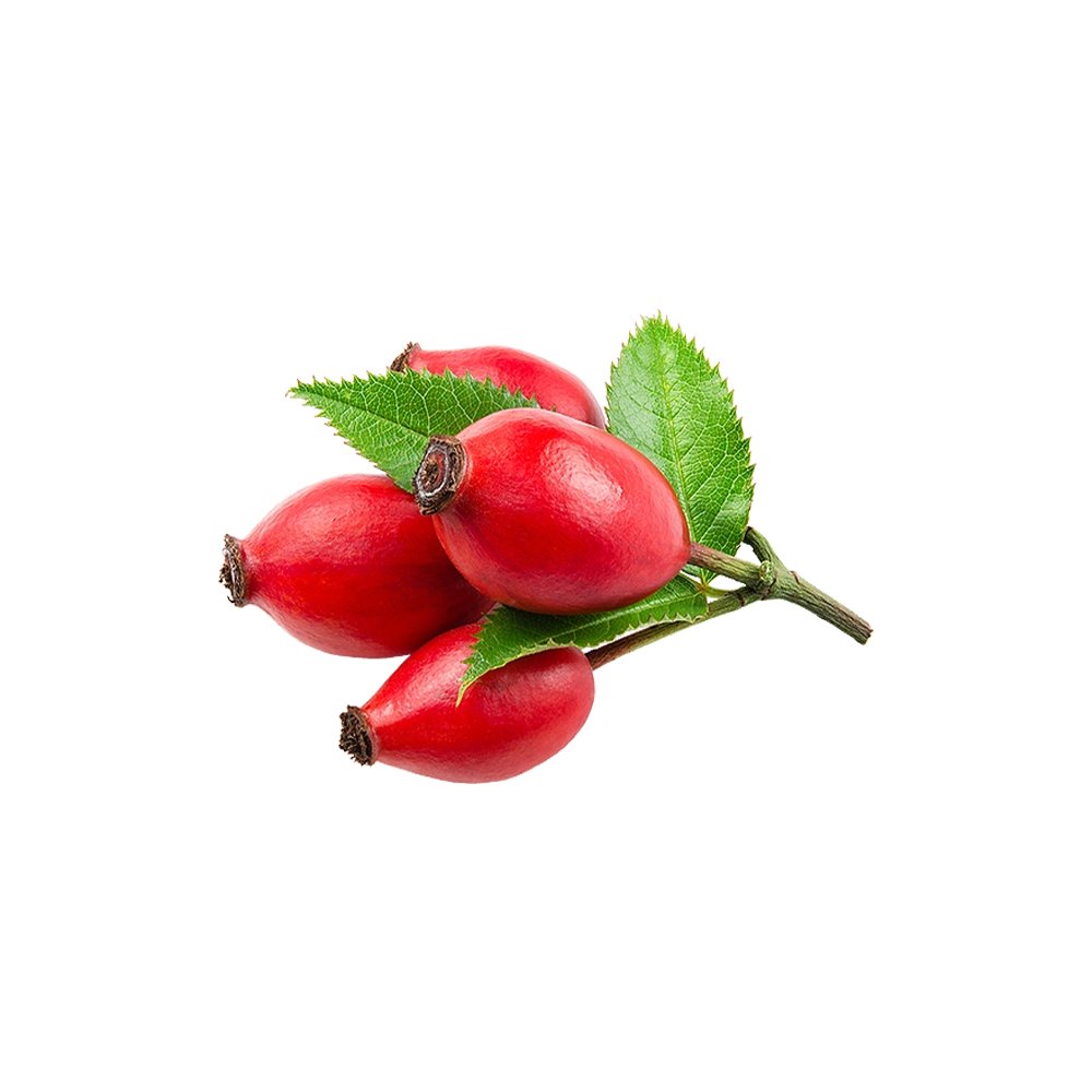 Rosehip Fruit Powder close-up texture detail macro photography