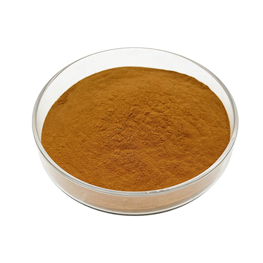 Reddish-brown Cinnamon Twig Extract fine powder detail